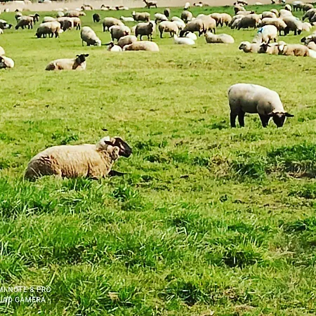 L'anse Rouge, Vue Sur Le Port *