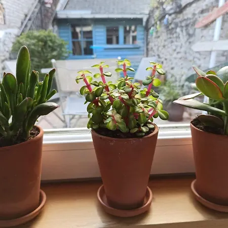 Ferienhaus L'anse Rouge, Vue Sur Le Port *